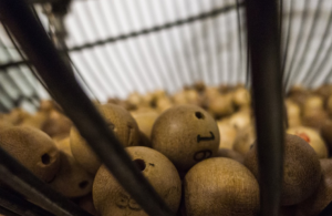 bingo ball
